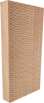 Angole